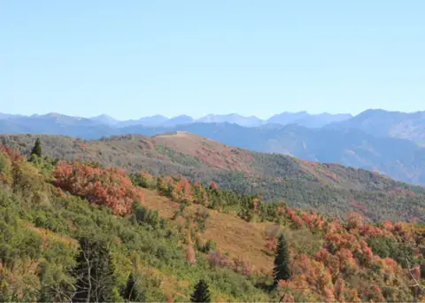 Mountain view in Morgan County, Utah.